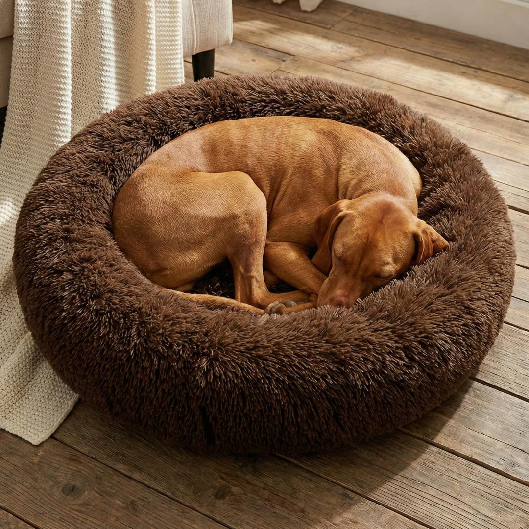 CalmNest™ Calming Dog Bed